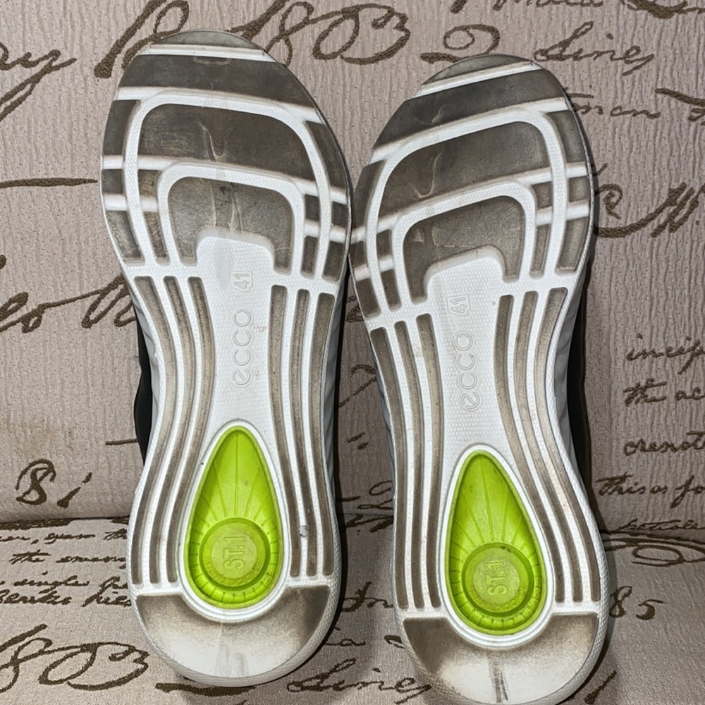 Ecco - Picture 11 of 15